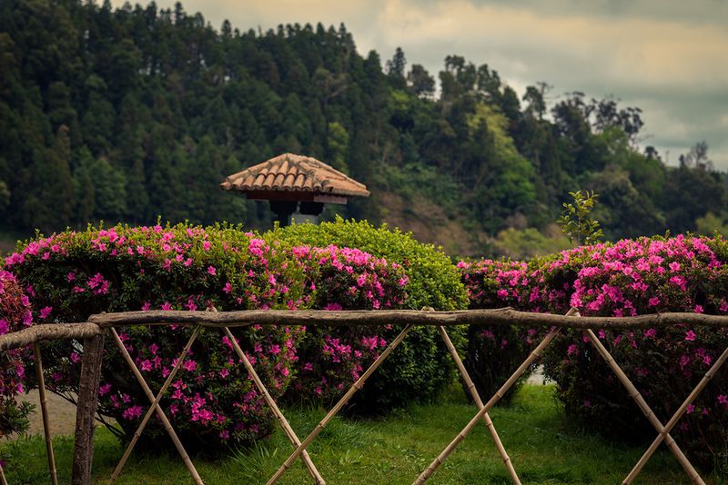 Азорские острова - места нетронутой природы