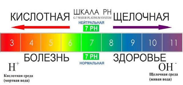 original (1)