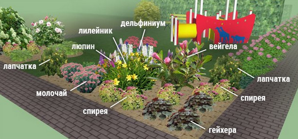 Клумбы непрерывного цветения – схемы с описанием цветов… Клумбы непрерывного цветения – схемы с описанием цветов…