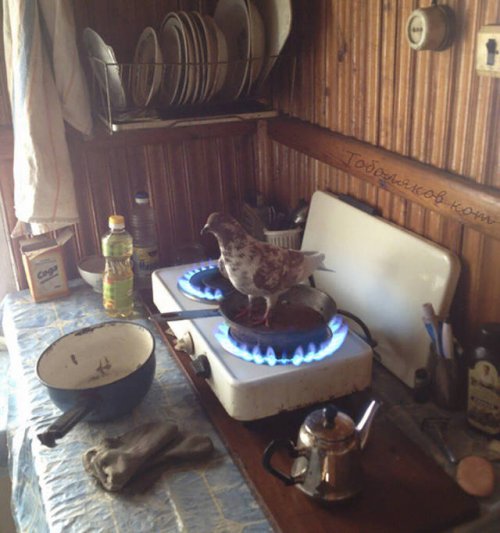 Что здесь происходит?! (21 фото) Что здесь происходит?! (21 фото)