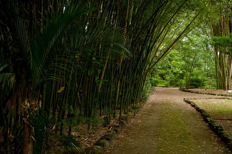 Азорские острова - места нетронутой природы