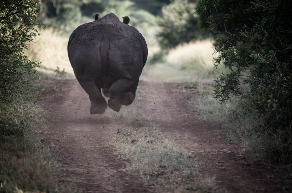 фото National Geographic