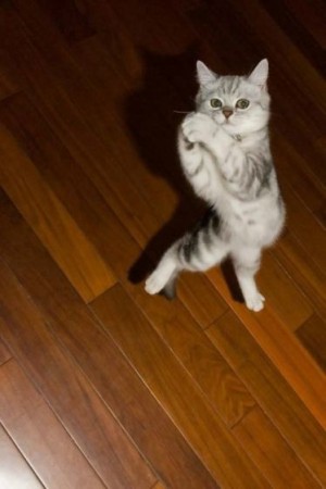 Давайте улыбаться вместе! :) (16 поводов)