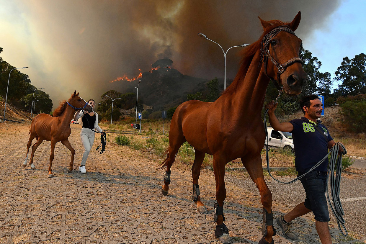 Европейские пожары лета 2017
