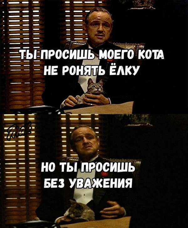 Подборка прикольных фото Подборка прикольных фото