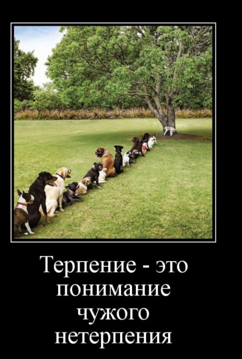 Демотиваторы отличной подборочкой для хорошего настроения!!! Демотиваторы отличной подборочкой для хорошего настроения!!!