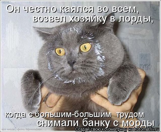 Котоматрицы для подзарядки позитивом))) Котоматрицы для подзарядки позитивом)))