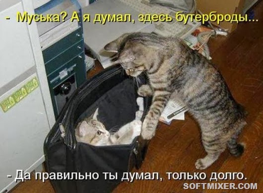 8b970ae3f9e553779daaac117b6_prev