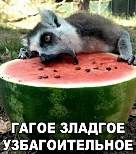 Картинки с надписями,истории и анекдоты Картинки с надписями,истории и анекдоты