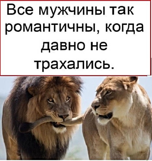 Картинки с надписями,истории и анекдоты Картинки с надписями,истории и анекдоты
