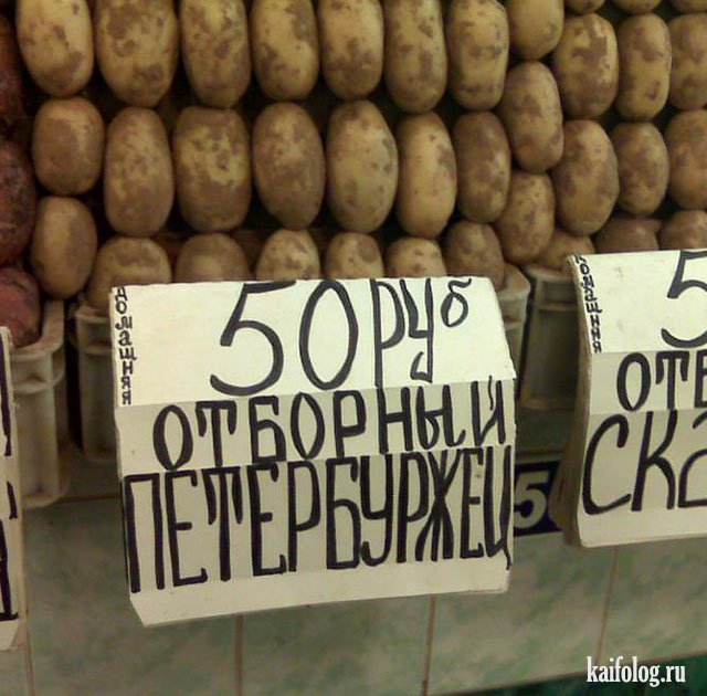 Картофельфест открыт (50 фото) Картофельфест открыт (50 фото)