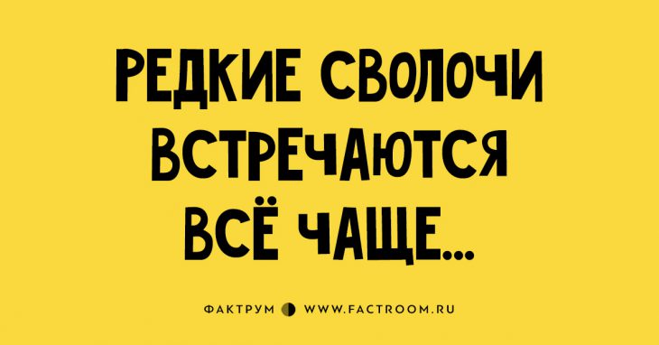 15 остроумных афоризмов для тех, кто любит игру слов 15 остроумных афоризмов для тех, кто любит игру слов