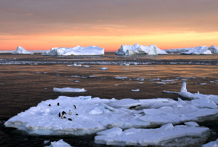 Крупнейший в мире морской заповедник в Антарктике