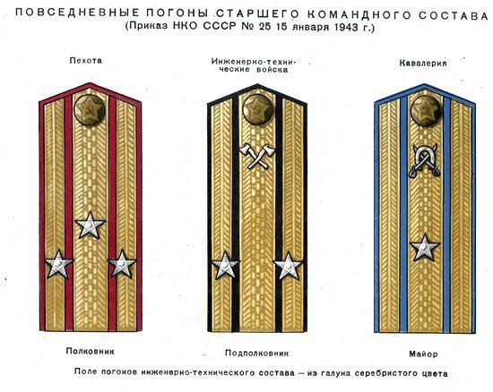 Десять интересных фактов о советских погонах