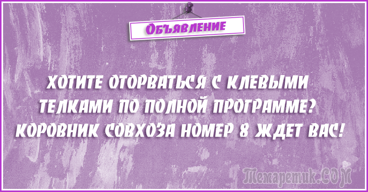 Анекдоты - объявления. 50 самых убойных объявлений Анекдоты - объявления. 50 самых убойных объявлений