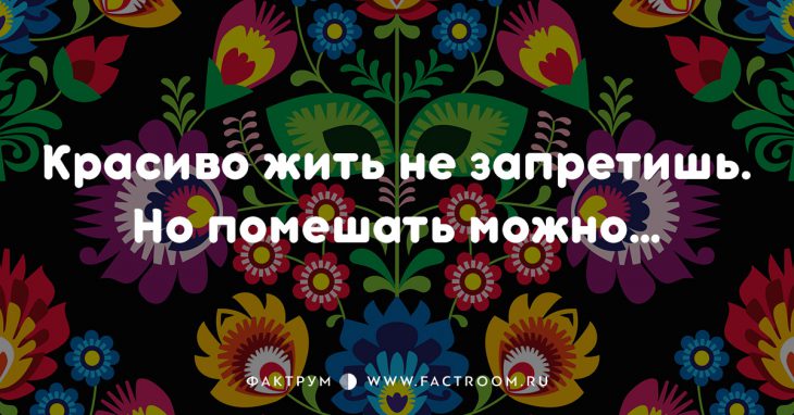 20 смешных современных поговорок, которых вы ещё не слышали 20 смешных современных поговорок, которых вы ещё не слышали