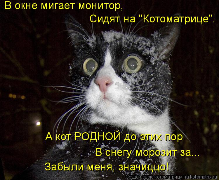 Котоматрица: В окне мигает монитор,   Сидят на "Котоматрице". А кот РОДНОЙ до этих пор В снегу морозит за... Забыли меня, значиццо!