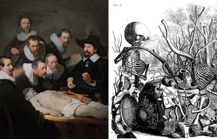 Голландская живопись и рисунок XVII века. Голландская живопись и рисунок XVII века.