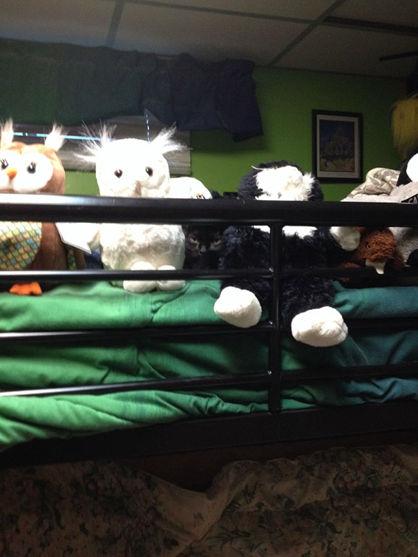 Коты — мастера камуфляжа Коты — мастера камуфляжа