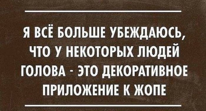 21+ убойных фраз, которые дарят позитив на весь день