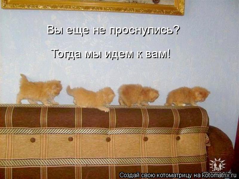 ПЕРЛЫ ДЕТЕЙ И ИХ РОДИТЕЛЕЙ. ПЕРЛЫ ДЕТЕЙ И ИХ РОДИТЕЛЕЙ.
