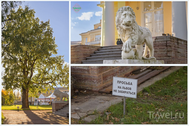 Последние дни сентября в усадьбе Марьино / Фото из России