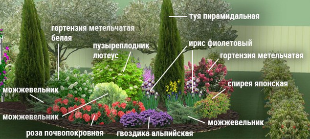 Клумбы непрерывного цветения – схемы с описанием цветов… Клумбы непрерывного цветения – схемы с описанием цветов…