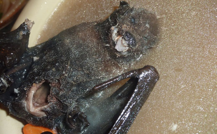 FoodsEatenAlive06 Съешь живым: 10 самых садистских блюд в мире