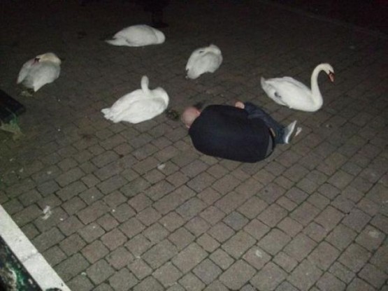  р