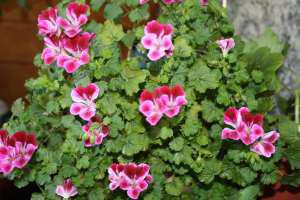 ������ �� ������ ������?