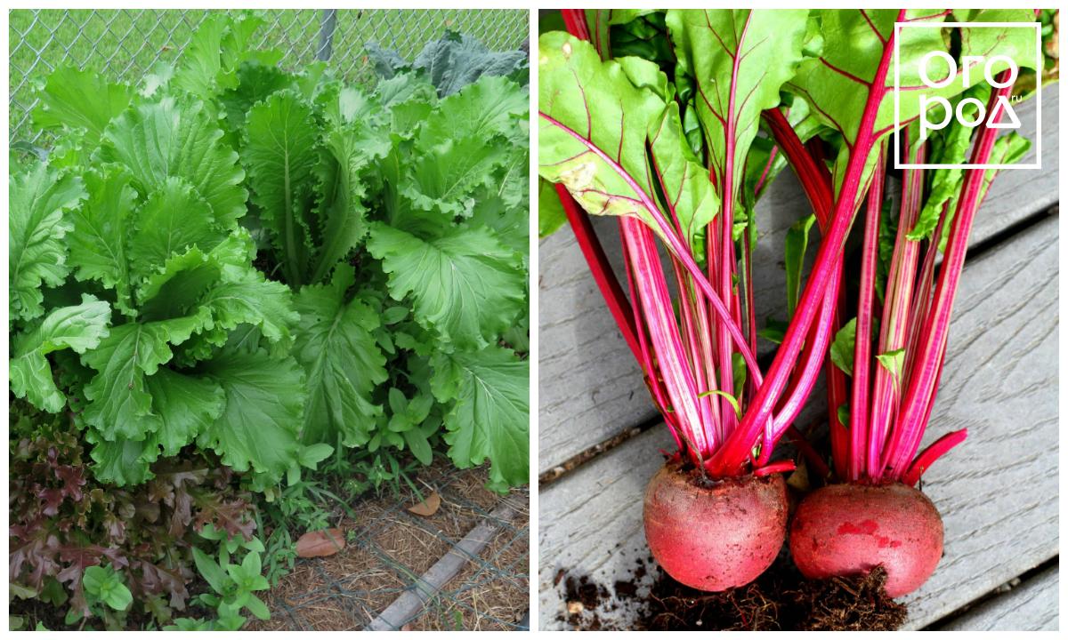 7 ��� ��������, ������� ������ ���������� �����