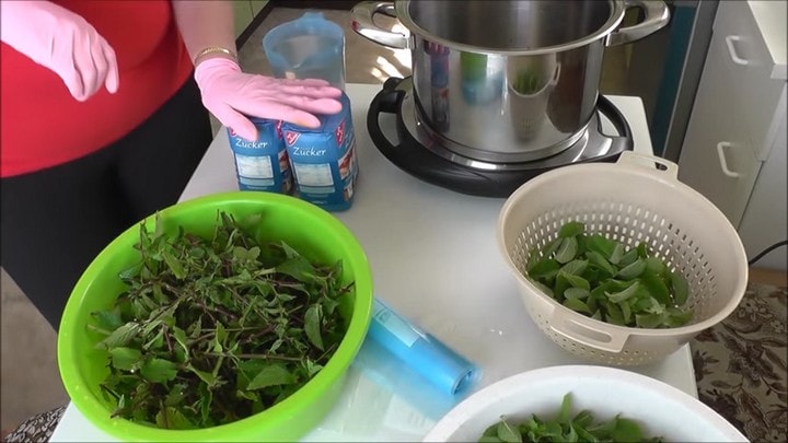 Нетривиальный рецепт с мятой: невероятно вкусно, душисто и нежно
