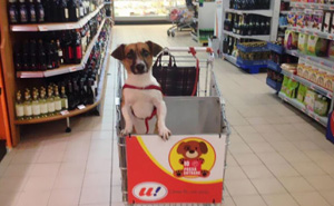 10+ Genius Stores That Will Surprise You With Their Creativity