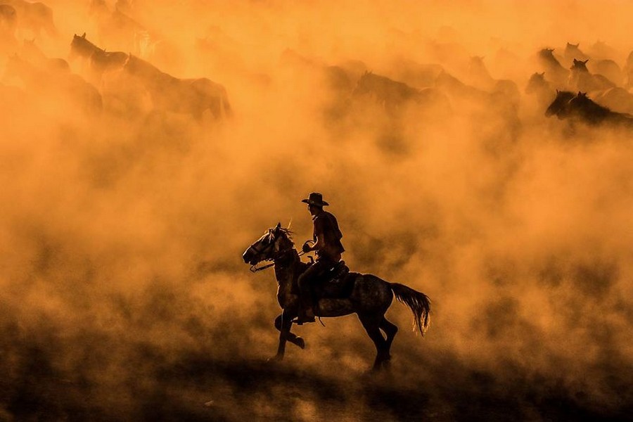 Снимки с конкурса Sony World Photography Awards 2017