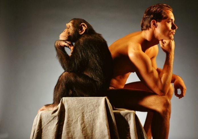 Маленькая девочка задала матери вопрос. Ее ответ — это бесценно! Маленькая девочка задала матери вопрос. Ее ответ — это бесценно!