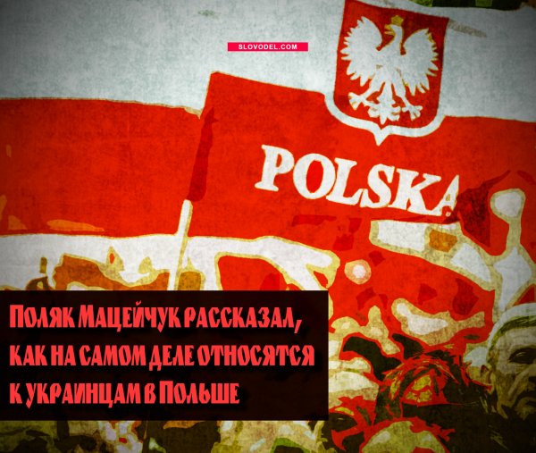 Поляк Мацейчук рассказал, как на самом деле относятся к украинцам в Польше