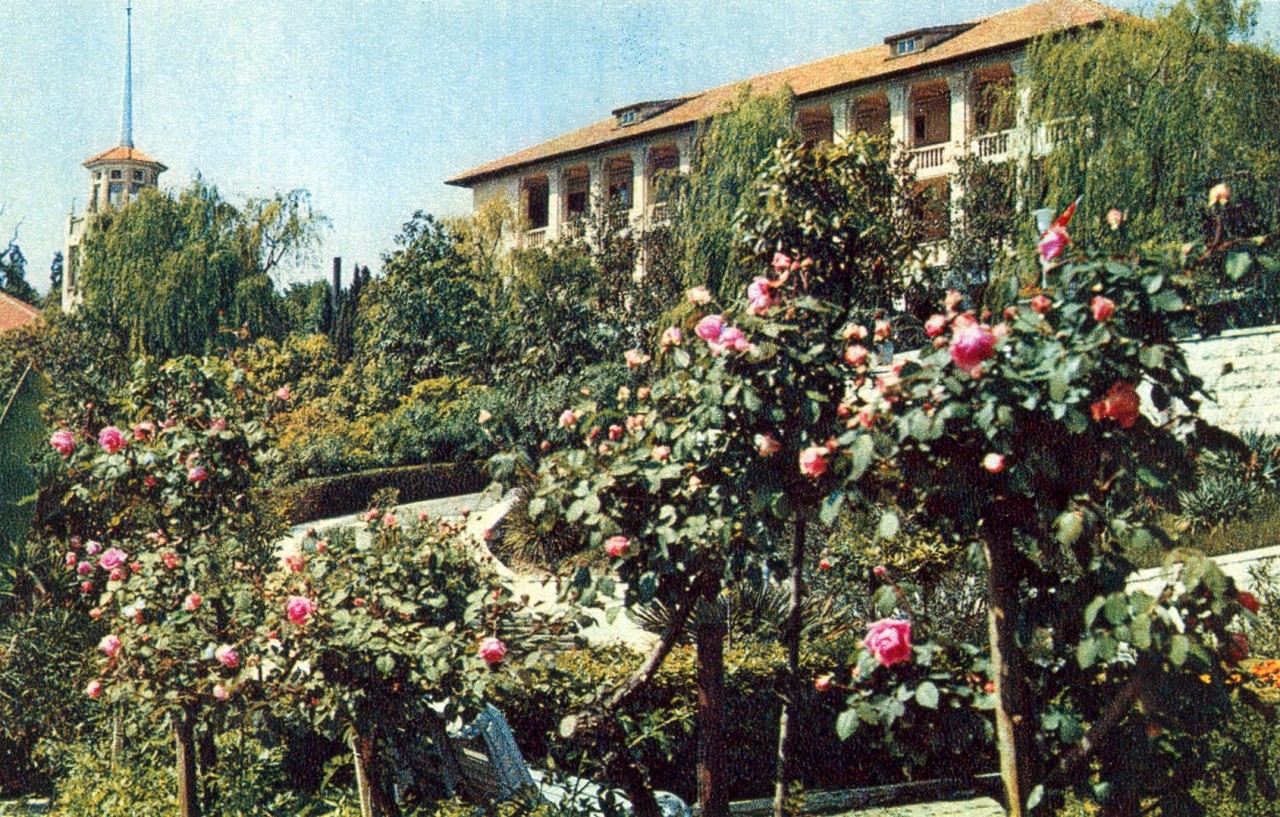 ZAVODFOTO / История городов России в фотографиях: Сочи в 1972 году ZAVODFOTO / История городов России в фотографиях: Сочи в 1972 году