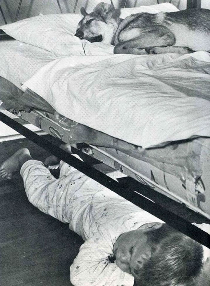 13 трогательных исторических фотографий