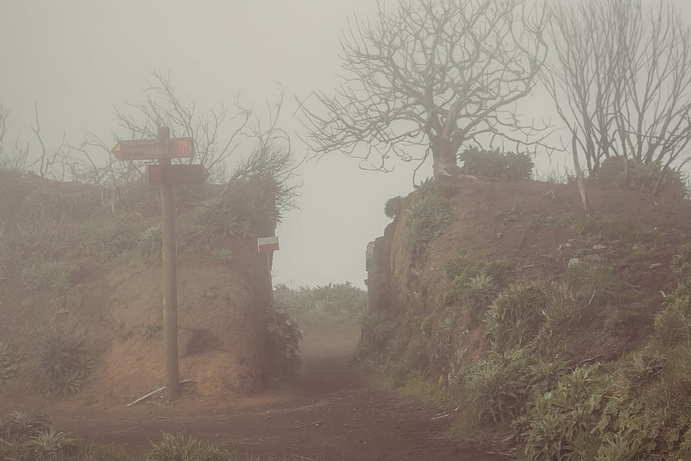 Остров Мадейра: на краю бездны