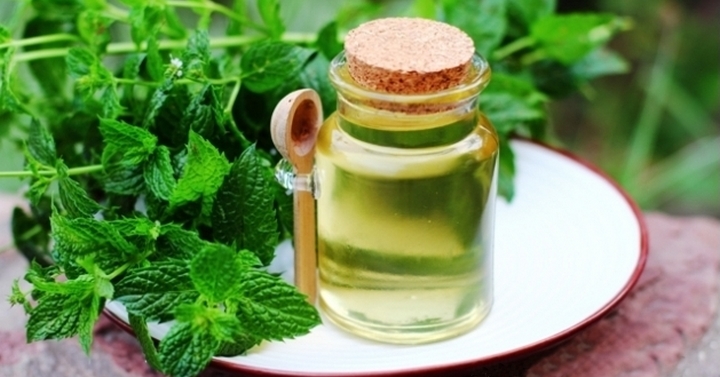 Нетривиальный рецепт с мятой: невероятно вкусно, душисто и нежно