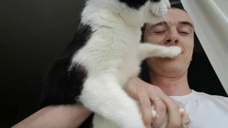 Девайс для удачного селфи с вашим любимым котиком Девайс для удачного селфи с вашим любимым котиком
(8 фото)