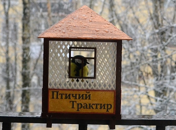 12 абсолютно абсурдных вещей, которые можно распечатать на 3D-принтере