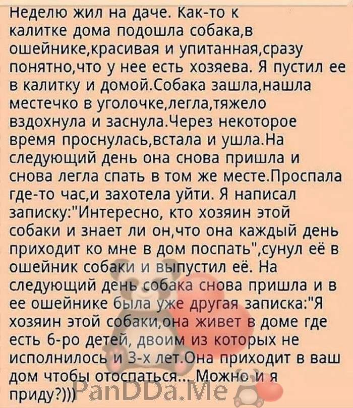 Новейшая порция хороших и добрых коротких рассказов с просторов интернета Новейшая порция хороших и добрых коротких рассказов с просторов интернета