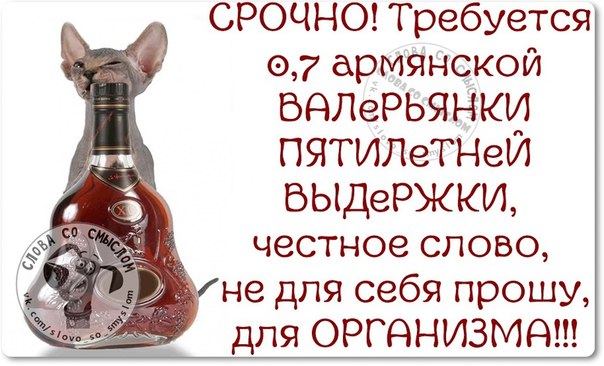 Позитивные фразочки в картинках