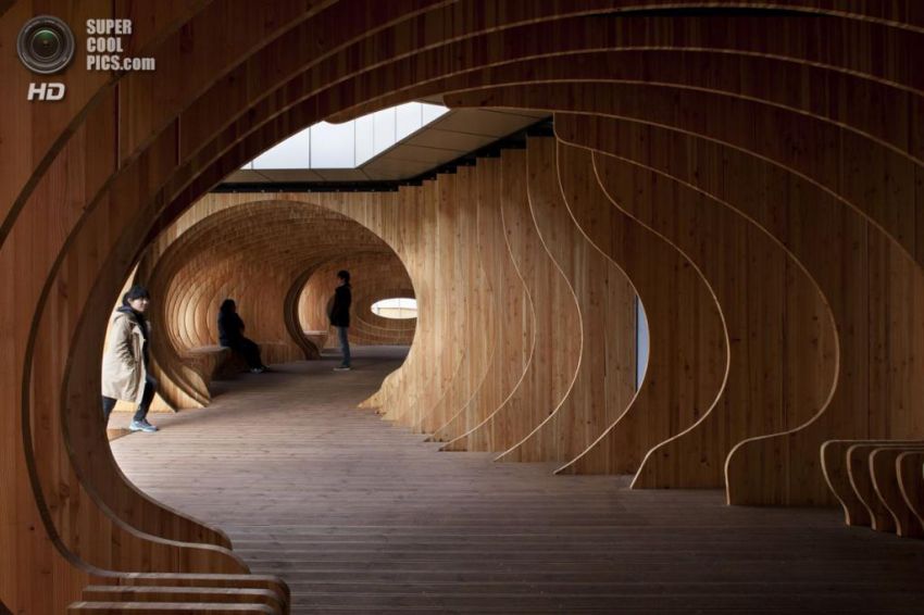 студент, отдых