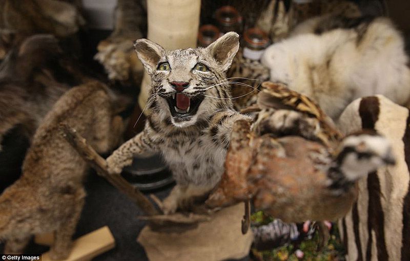 аэропорт, контрабанда, конфискация, Лондон, таможня