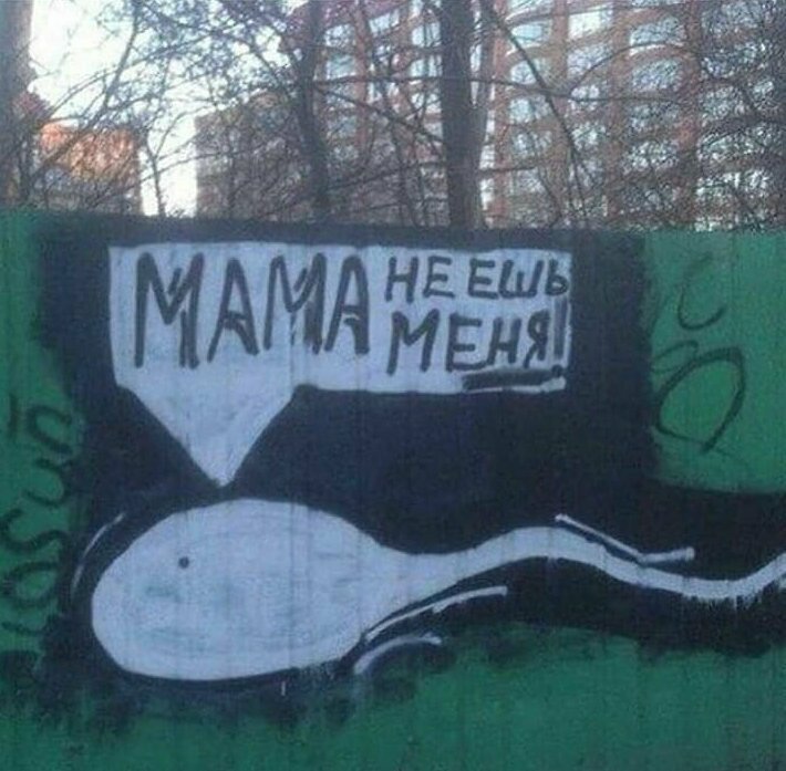 1. Смысла во многих надписях больше, чем может показаться на первый взгляд 1. Смысла во многих надписях больше, чем может показаться на первый взгляд