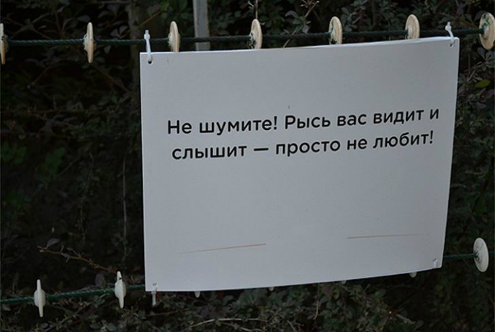 Может она интроверт? Может она интроверт?