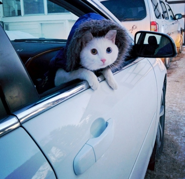 50 ������������� ������ � �������.