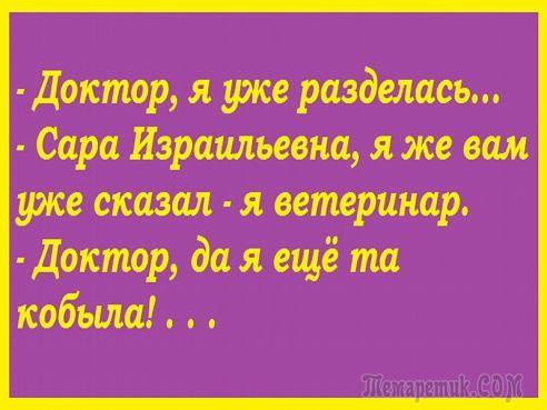 Анекдоты в картинках Анекдоты в картинках